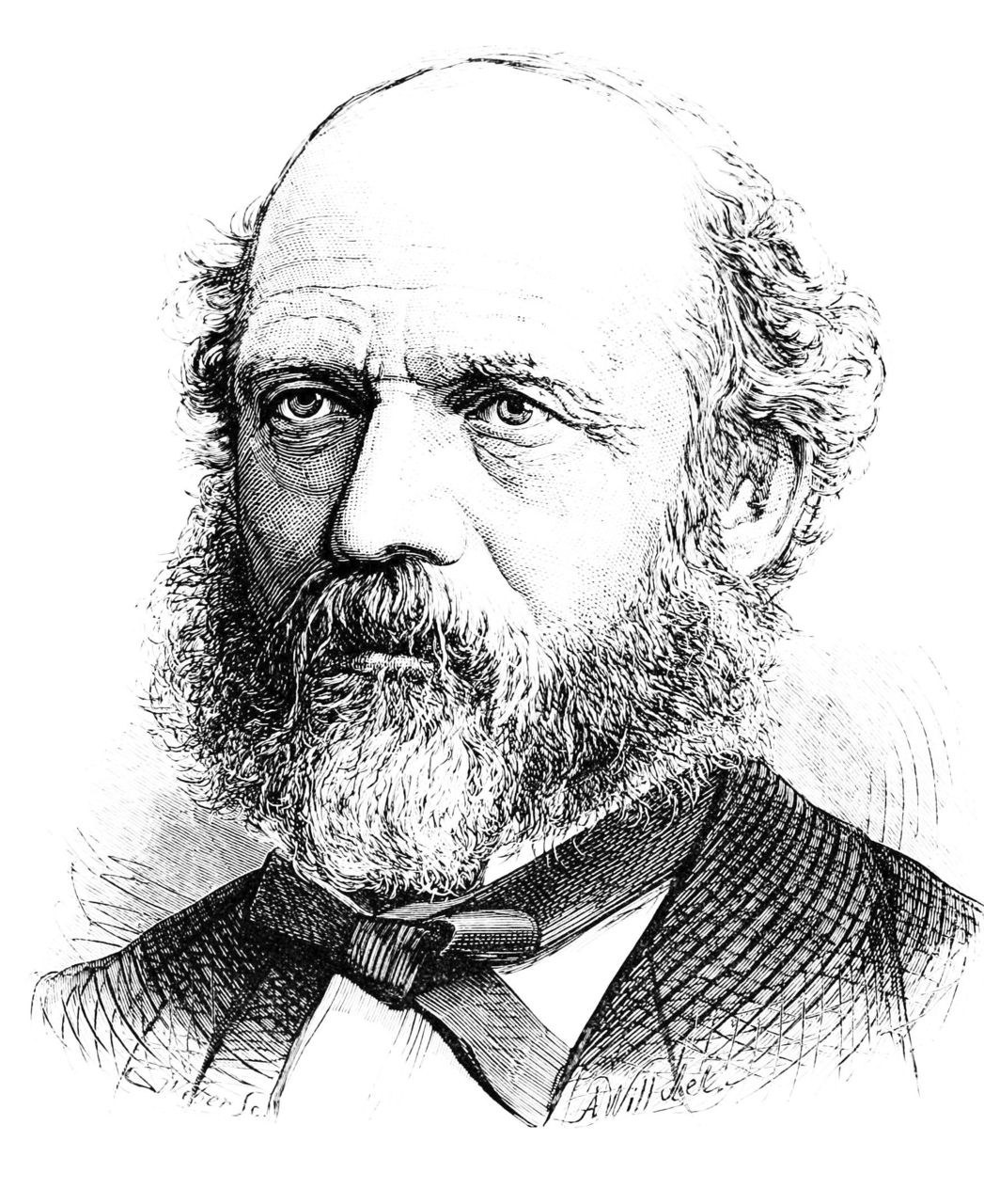 路易斯·亨利·摩尔根 lewis henry morgan