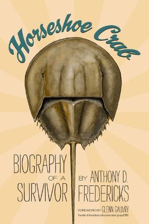 horseshoe crab