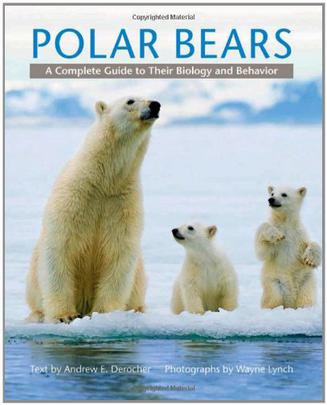 polar bears