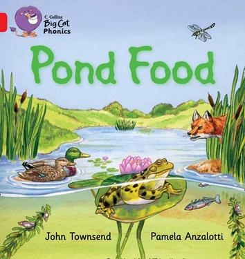 pond food