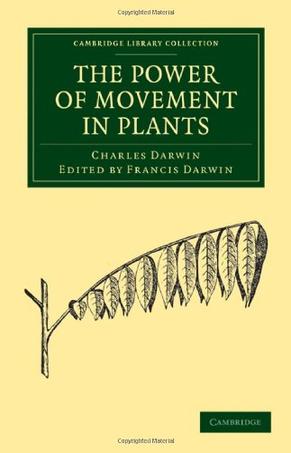 thepowerofmovementinplants