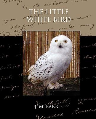 the little white bird