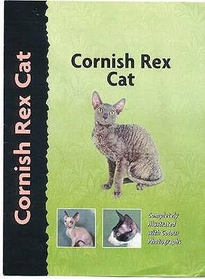 cornish rex cat