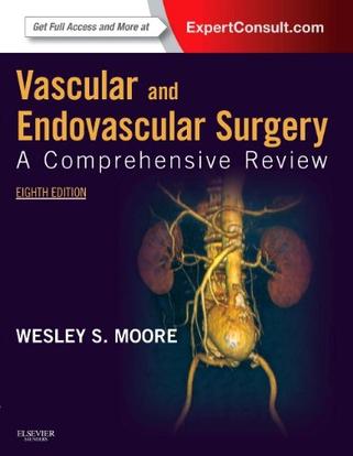 vascularandendovascularsurgery