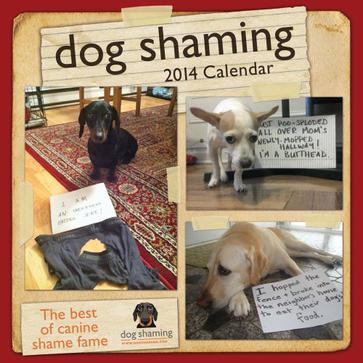 dog shaming 2014 wall calendar