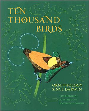 ten thousand birds