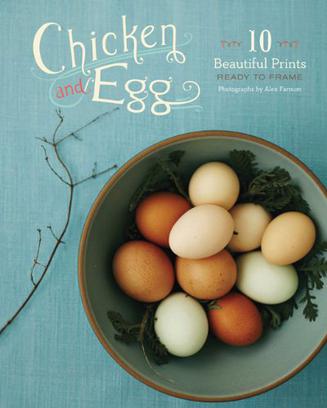chicken and egg