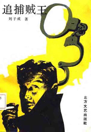 追捕贼王