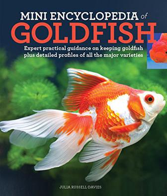 guidance on keeping goldfish plus detailed profiles of all the