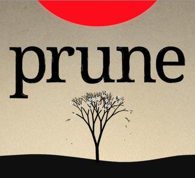 修剪艺术 prune