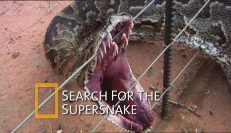 国家地理杂志:超级大蛇 national geographic: search for the super