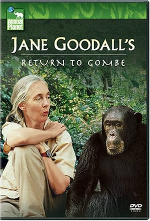 重返贡比janegoodallsreturntogombe2006