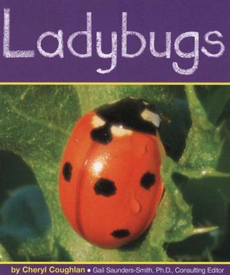 ladybugs (豆瓣)