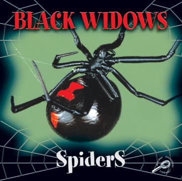 black widow spiders