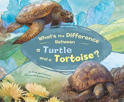 what"s the difference between a turtle and a tortoise?