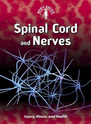 spinal cord and nerves