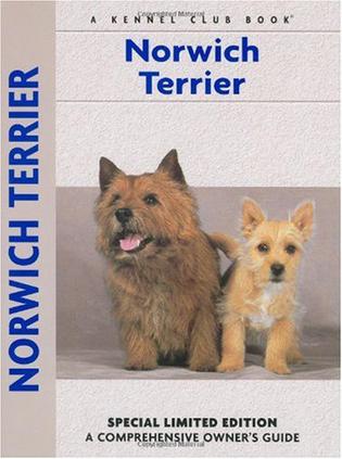 norwich terrier