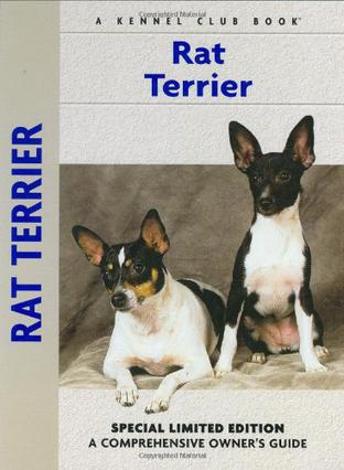 rat terrier