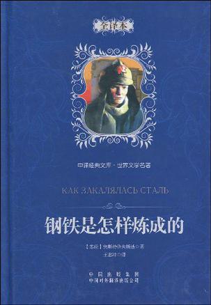 钢铁是怎样炼成的中5个故事(每篇450字左右 钢铁是怎样炼成的故事