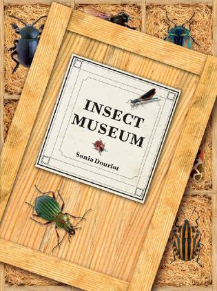 insect museum