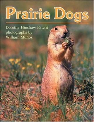 prairiedogs