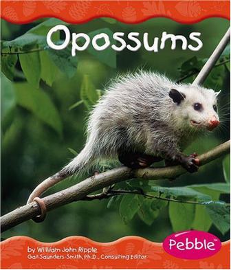opossums (豆瓣)