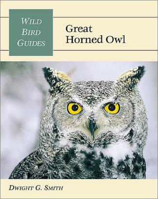 great horned owl