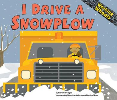 snowplow,snowstorm idriveasnowplow