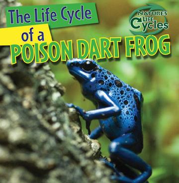 the life cycle of a poison dart frog