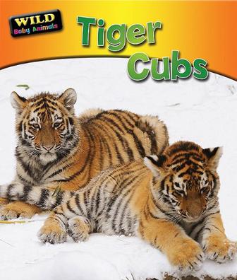 tiger cubs