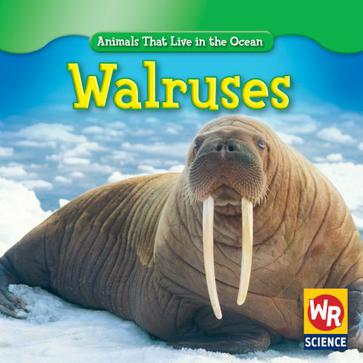 walruses 图书 豆瓣