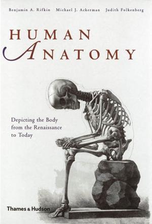 human anatomy