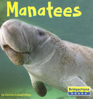manatees (豆瓣)