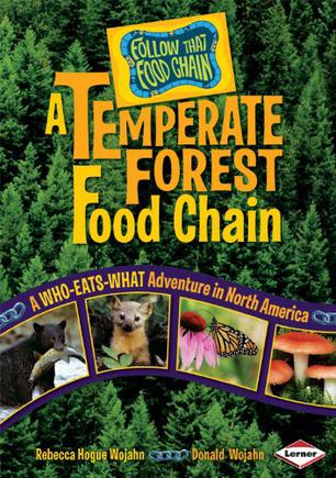 a temperate forest food chain