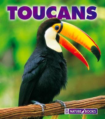 toucans