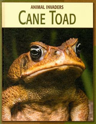 cane toad