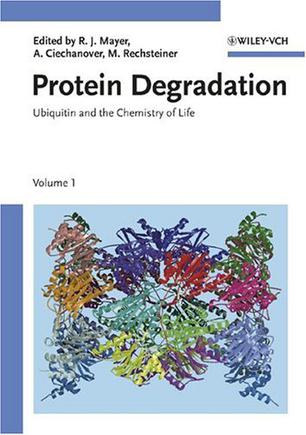 protein degradation