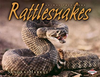 rattlesnakes (豆瓣)