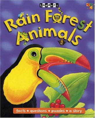 rainforest animals