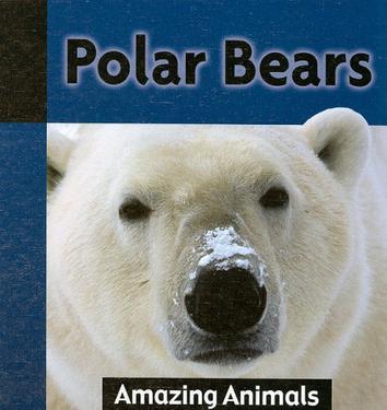 polar bears