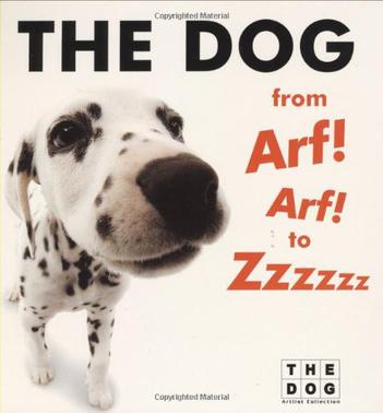 the dog from arf! arf! to zzzzzz board book