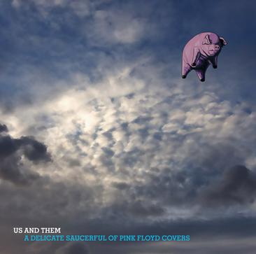 us and them: a delicate saucerful of pink floyd covers