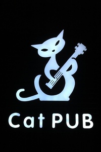 猫酒吧见