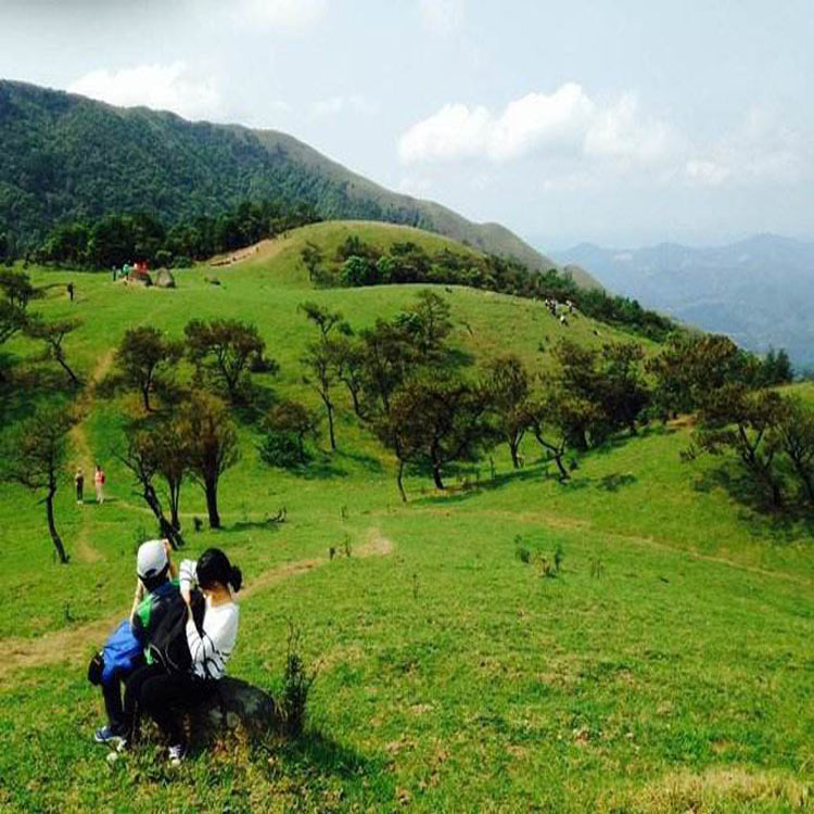 出发罗定八排山赏醉美高山大草原 登山踏青 云端草原一天