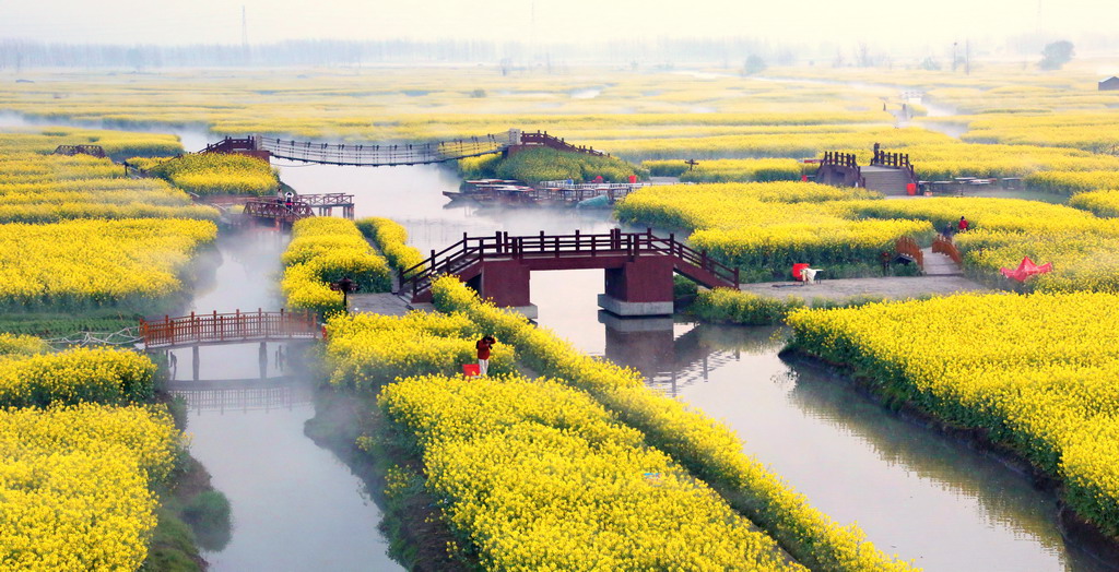 行途部落| 赏千岛垛田水上油菜花,扬州