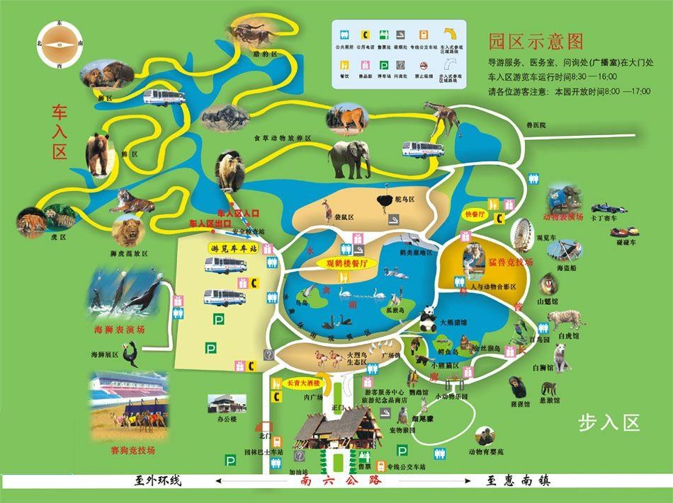 五一去上海野生动物园亲近大自然