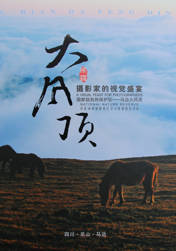 探寻神秘小众景点~区四川乐山马边大风顶自然保护区,寻同行小伙伴