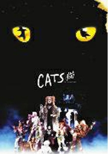 音乐剧《猫》中文版郑州站11月上演 门票开售