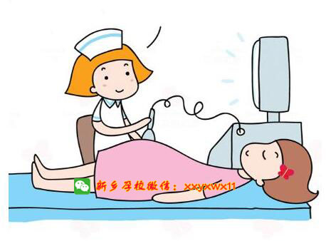 产前超声检查简介