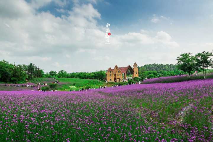 南京谷里薰衣草庄园石塘竹海一日游